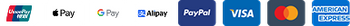 Payment Icon